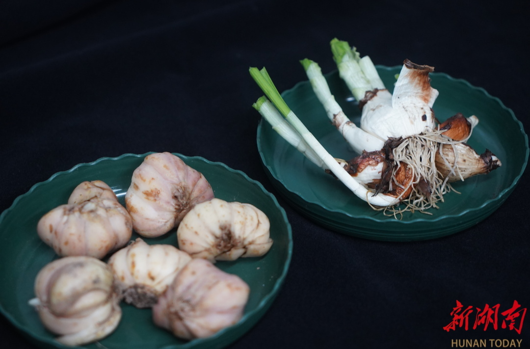 为什么水仙长得像百合却不能吃？