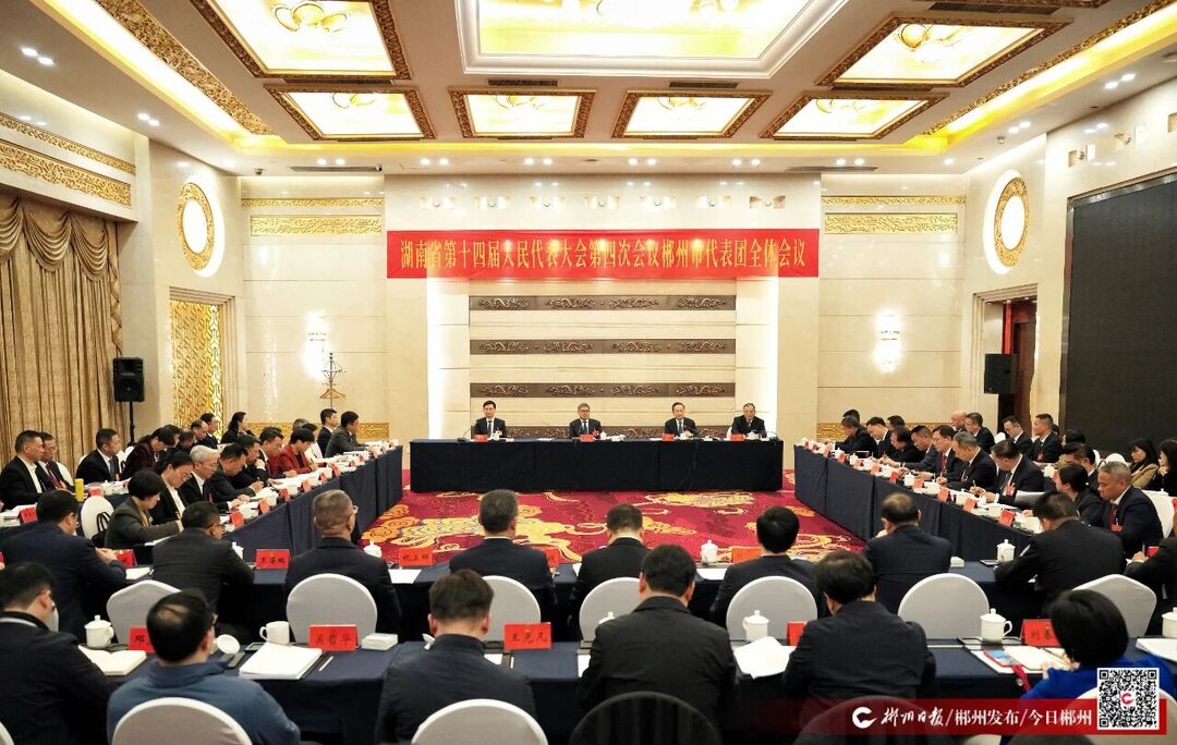 直通省两会：郴州代表团举行第三次全体会议 审议省政府工作报告 审查省“十五五”规划纲要草案