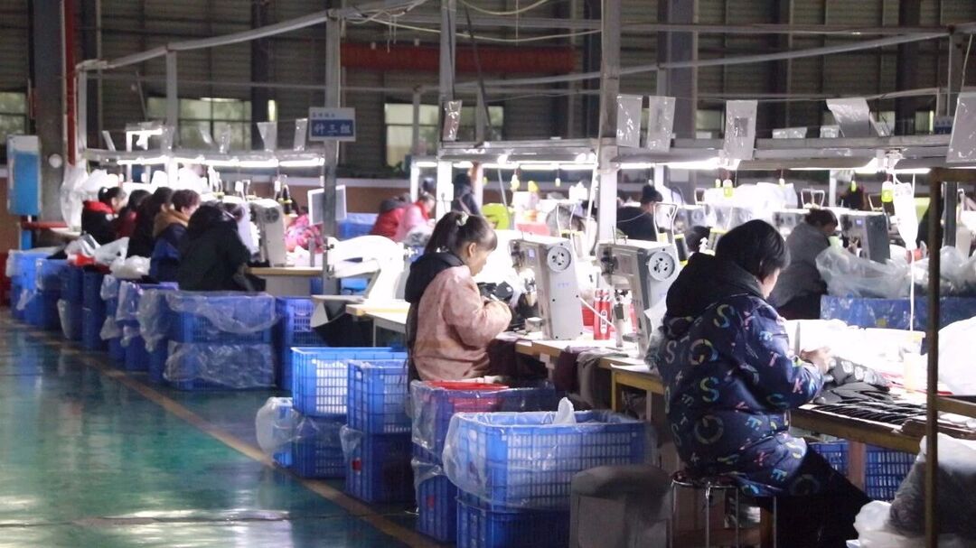 嘉禾：科技创新赋能 激活产业发展新动能