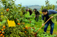 零陵特色产业带动群众增收致富