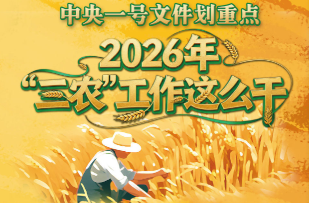 中央一号文件划重点，2026年“三农”工作这么干