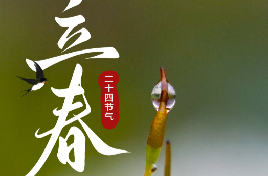 今日立春，美好迎春而来