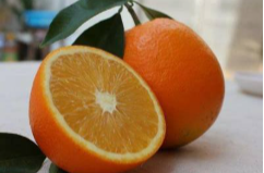 道县特色农产品亮相扬州年货市集