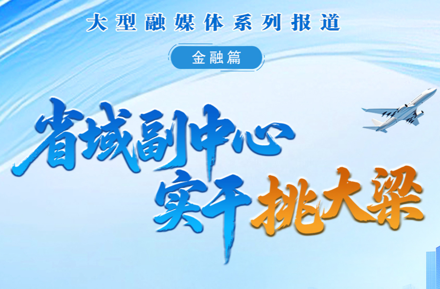 省域副中心 实干挑大梁•金融篇②｜王新：深耕“四大板块”  以政策性金融践行支农使命