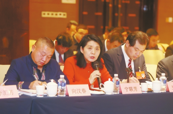 图片新闻｜湘西州代表团宁联芳代表围绕乡村医疗卫生体系建设建言@湖南日报