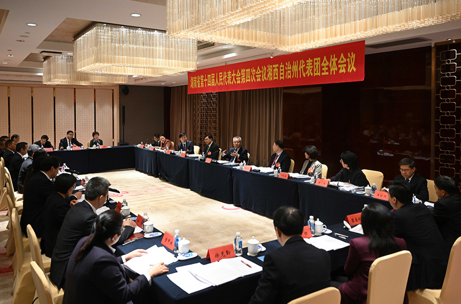 沈晓明参加湘西州代表团审议