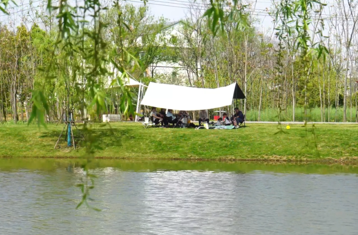 汉寿做细城市治理“针线活”——处处暖心增进幸福质感