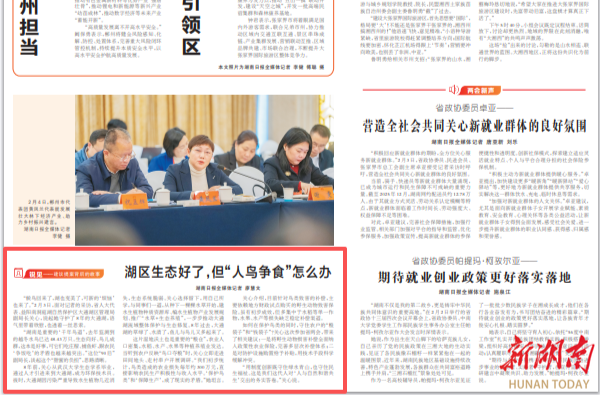 湖南日报|湖区生态好了，但“人鸟争食”怎么办