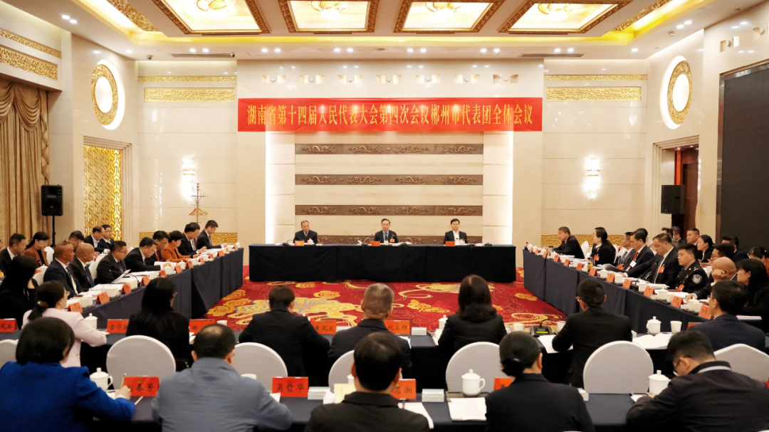 直通省两会：郴州代表团继续审议省政府工作报告 审查湖南省“十五五”规划纲要草案 审查计划、预算草案及报告