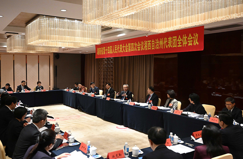 沈晓明参加湘西州代表团审议