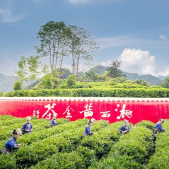 词丨沁园春·新春礼赞