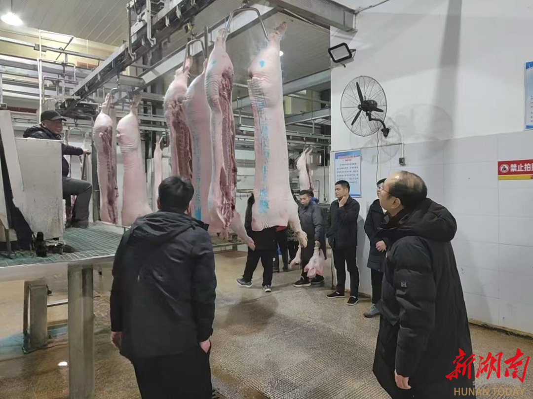 深夜“过筛”、把关餐桌！南县守护肉品安全在行动