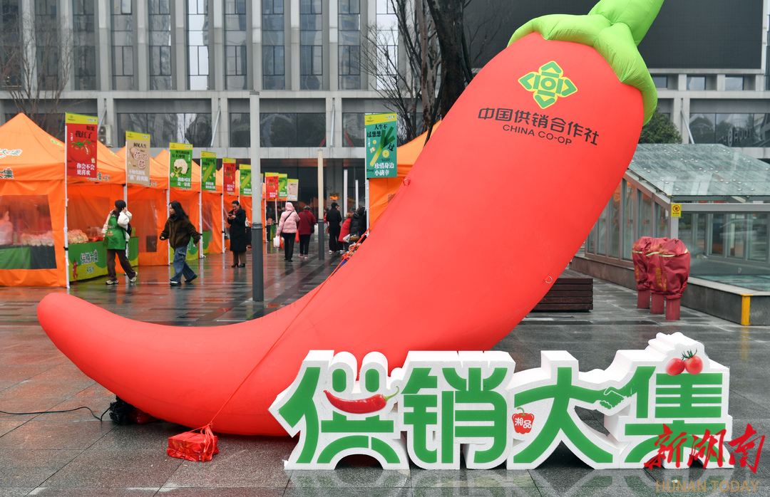 长沙“供销大集”新湖南大厦前坪热闹开市 百种湘味农品直供市民