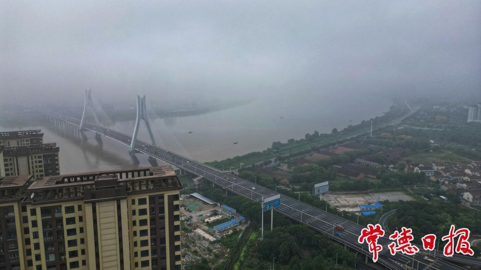 阴雨霸屏，阳光“失踪”？未来10天出门记得带伞