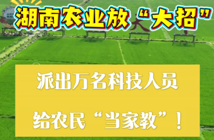湖南放“大招”！派出万名科技人员，给农民当“家教”