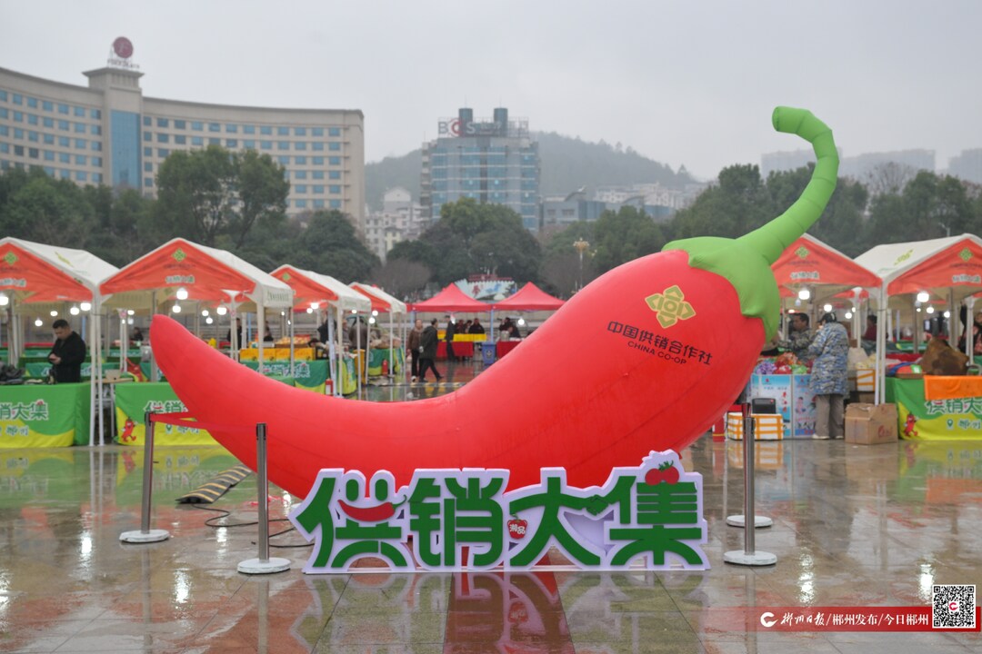 “郴品郴味·供销大集”春节专场7日启幕