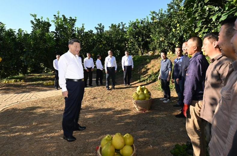 时政微观察丨常态化精准帮扶，这个新部署意义深远