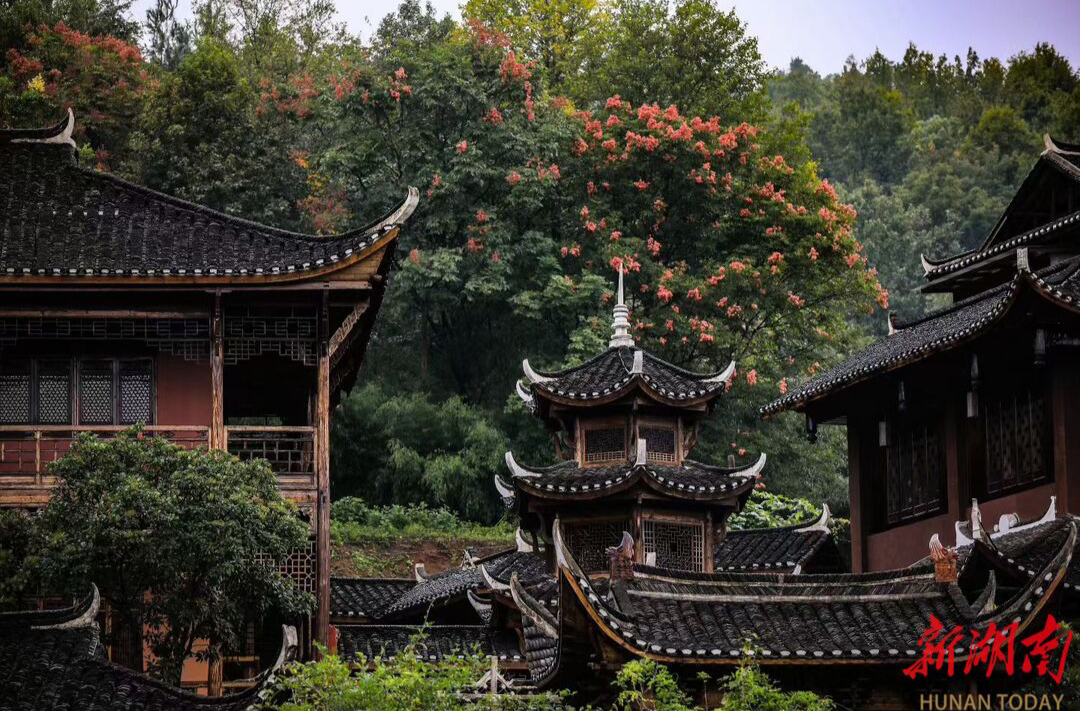 沅澧一线·调查｜当艺术理想撞上现实壁垒，“溪上文化”何以绵长？