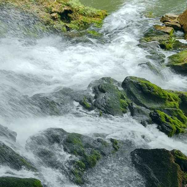 麻阳这条溪流凭啥值几千万？硒含量+92%水土保持率=真金白银