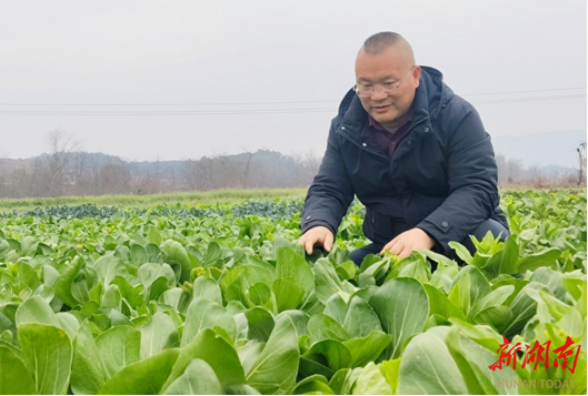 图片新闻丨东安：农技下沉助丰产，守护新春“菜篮子”