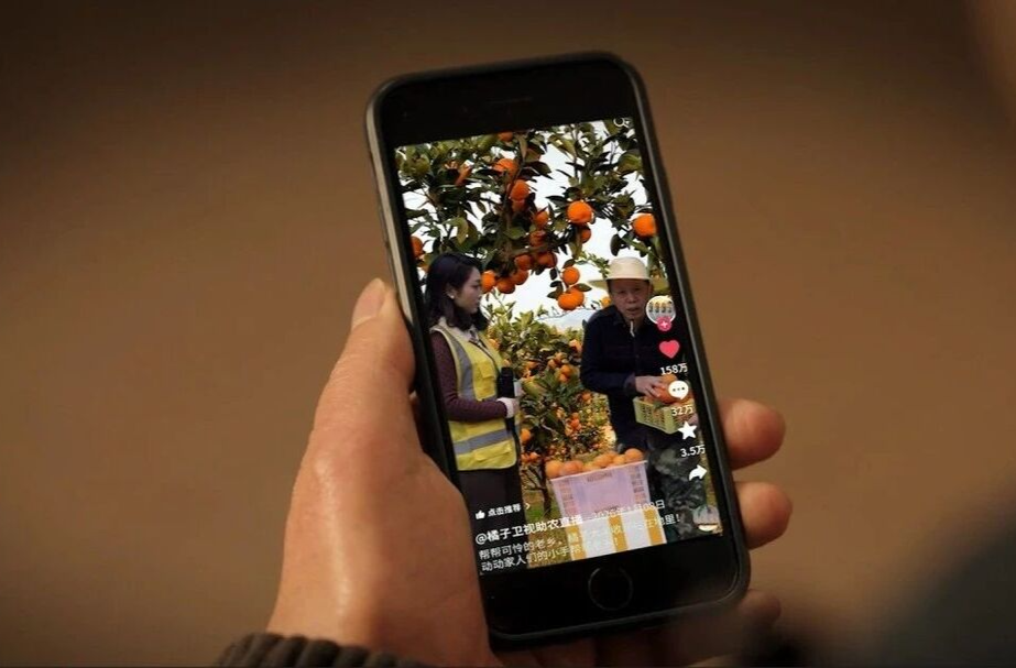 网络普法情景剧 | “李鬼”现形记