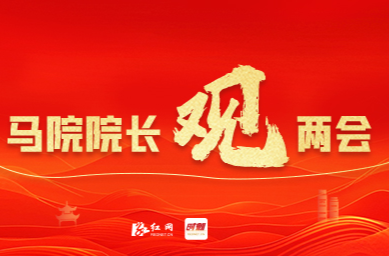 胡艺华：正确的政绩观在实践中要行得通丨马院院长观两会⑤