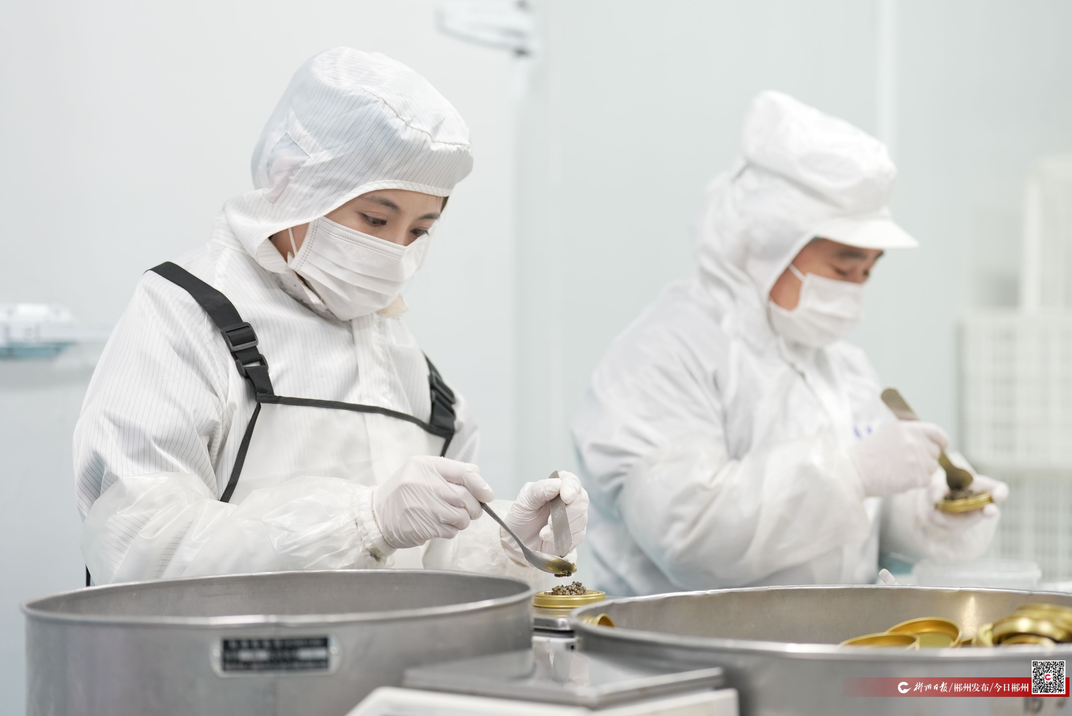 东江湖鱼子酱的“鲜”行记