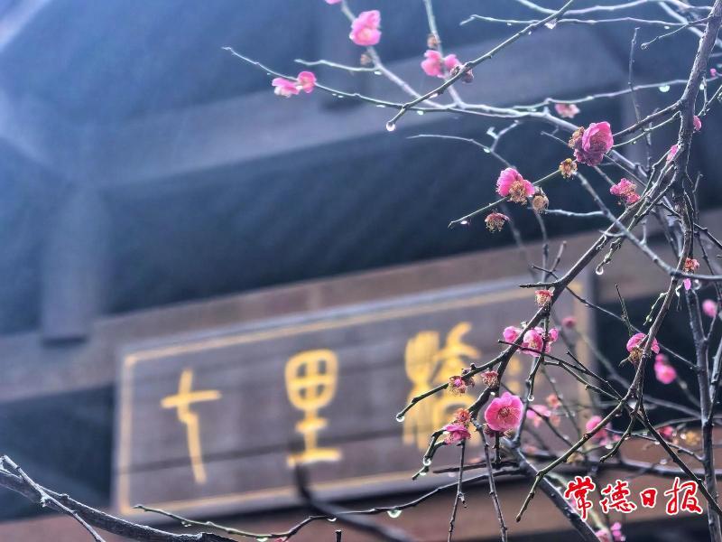 常德本周晴雨切换频繁 除夕可能遇阵雨