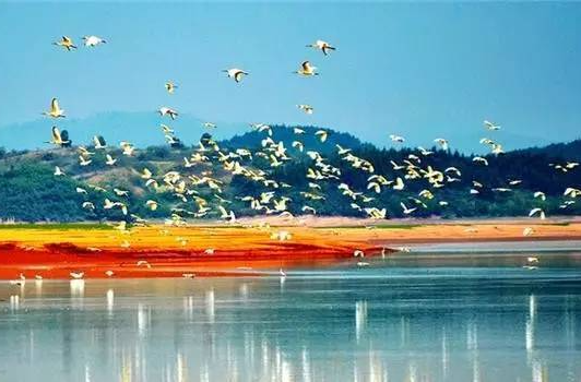 双牌湿地保护率居全市首位