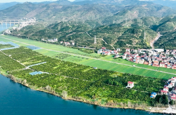 图说怀化｜麻阳步云坪“花字”迎春