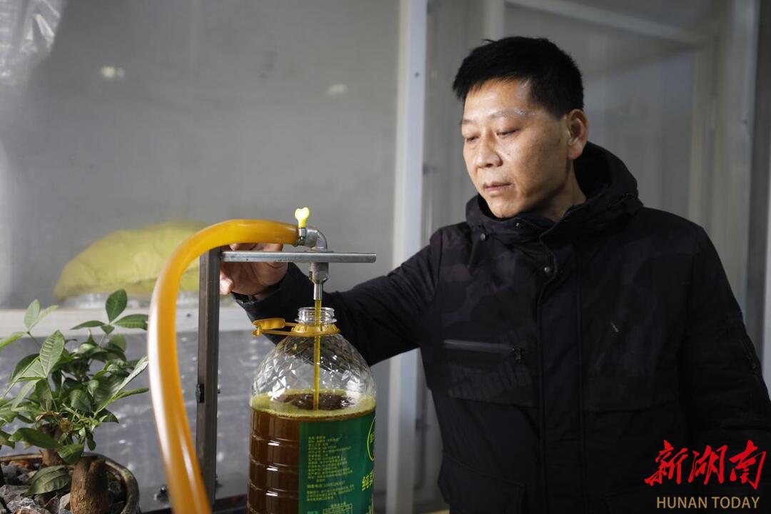 “衡”有年味丨珠晖区：小小榨油坊 浓浓年味香