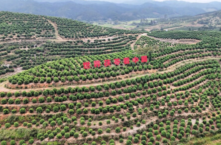 怀化拿下“全省第一”！