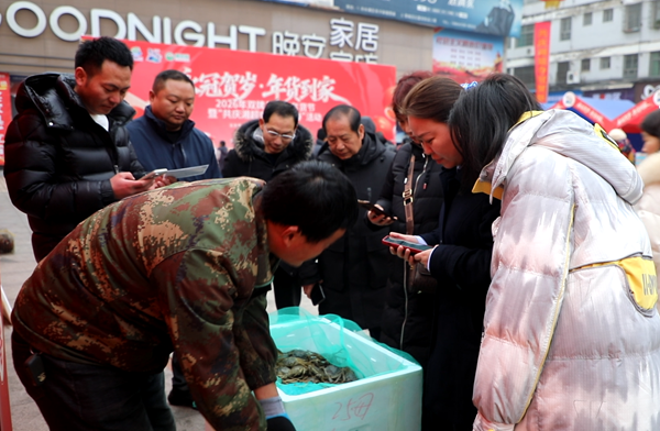 新春走基层 | 江苏洪泽湖大闸蟹成双牌电商年货节“爆款”