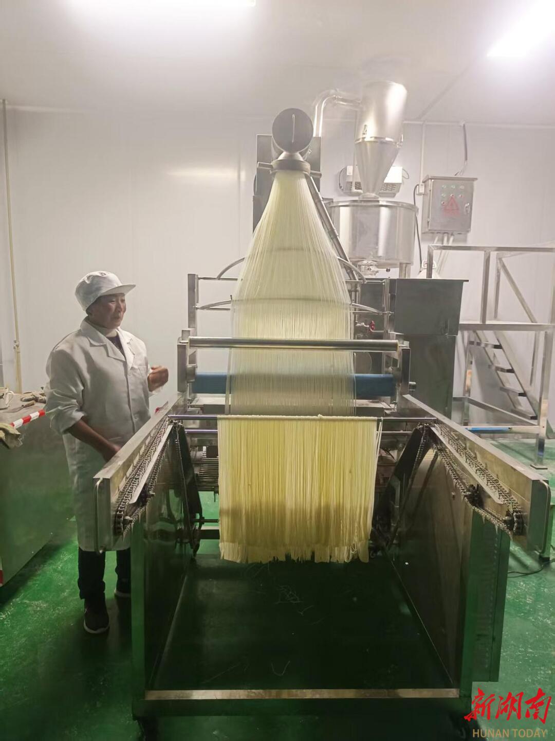 “衡”有年味｜珠晖区：雁晖米粉香 年味满箩筐