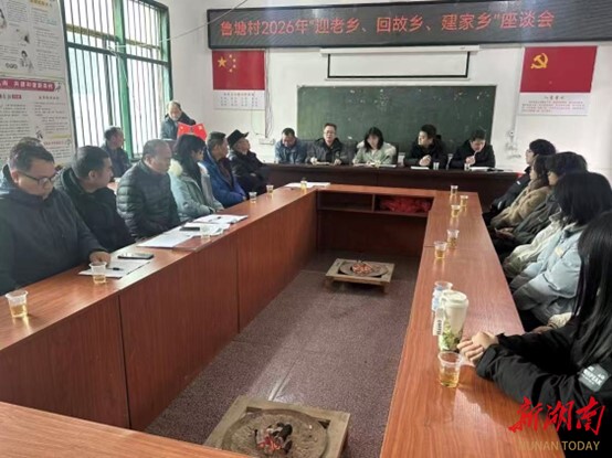 新田：以桑梓情聚发展力 共绘和美家乡新画卷