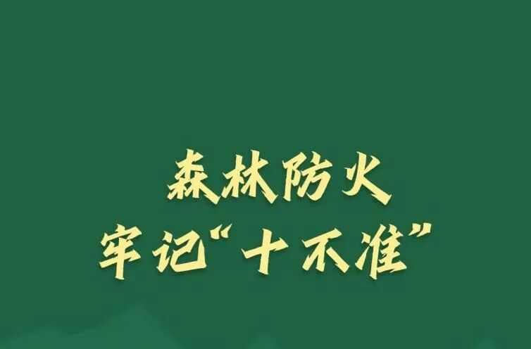 春节临近，这些森林防火安全提示要牢记！
