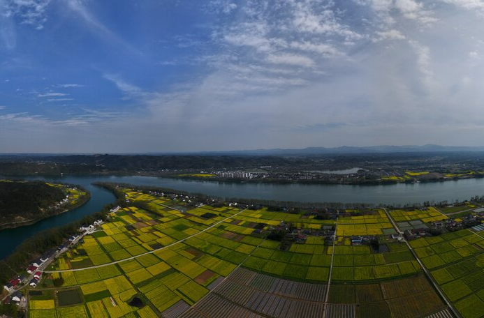罗毅君主持召开市委常委会会议