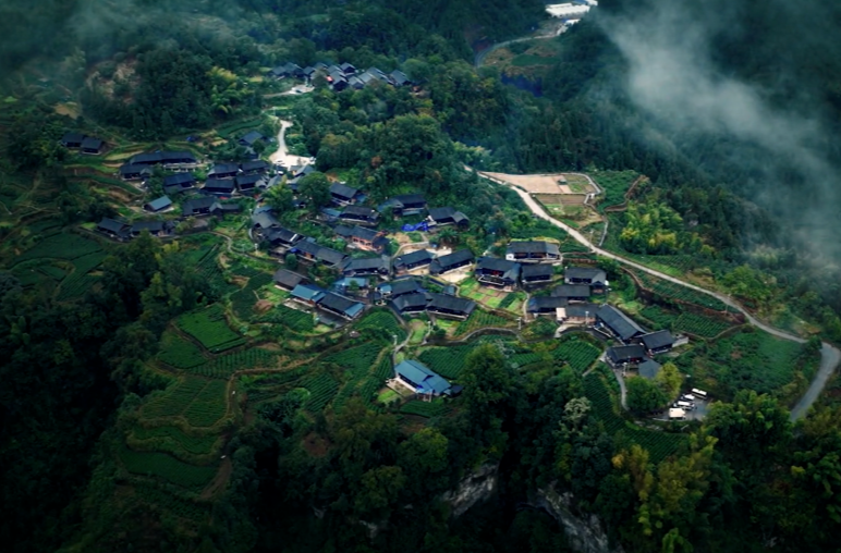 诗丨丙午新年抒怀
