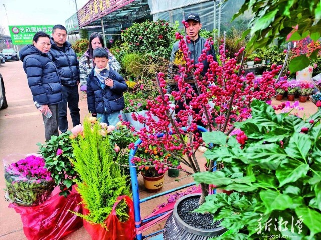 湘潭花卉市场春意浓