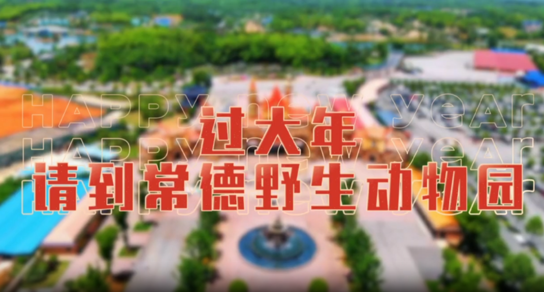 来常德野生动物世界，赴一场新春的萌兽狂欢