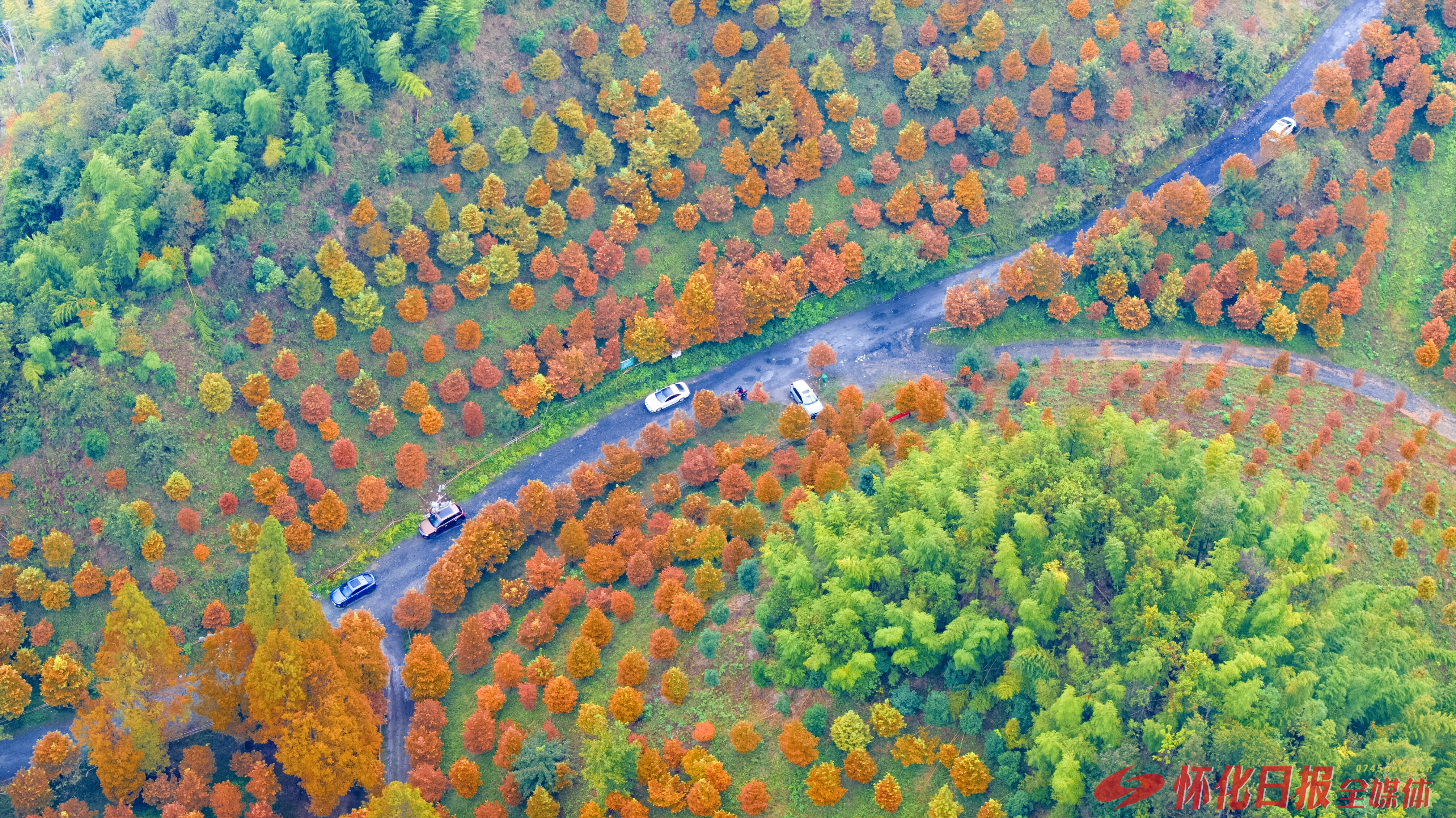 ​不负青山 青山不负——2025年怀化林业高质量发展纪实