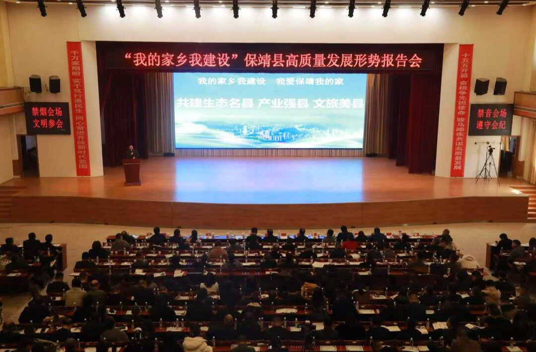 聚英才、兴家乡！保靖县“我的家乡我建设”系列主题活动满满正能量