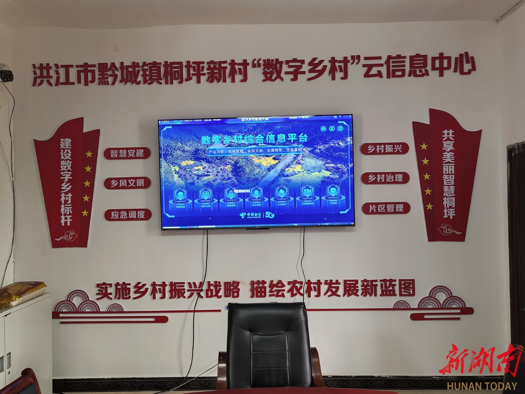 数智赋能乡村振兴 中国电信怀化分公司绘就桐坪新村新画卷