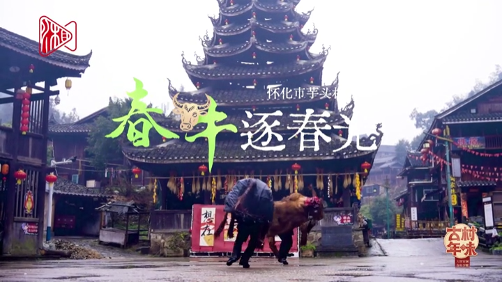 怀化市芋头村——春牛逐春光