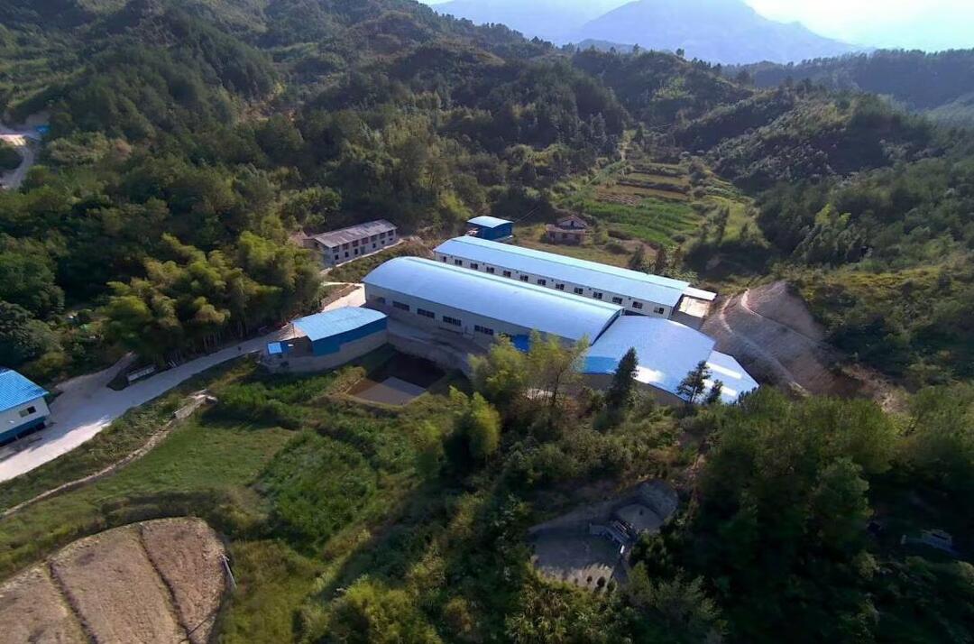 山间“黑金”走俏全国:看平江黑山羊如何“羊”名天下