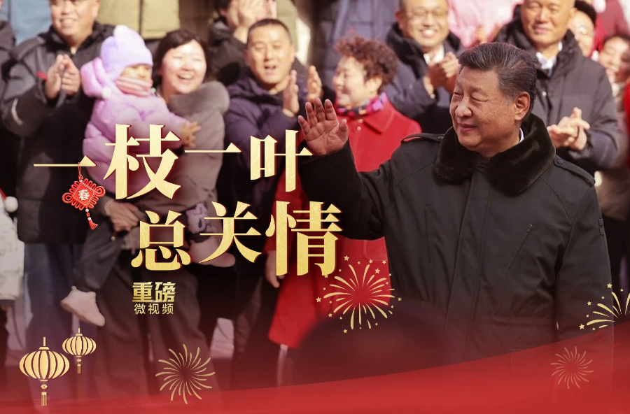 重磅微视频丨一枝一叶总关情