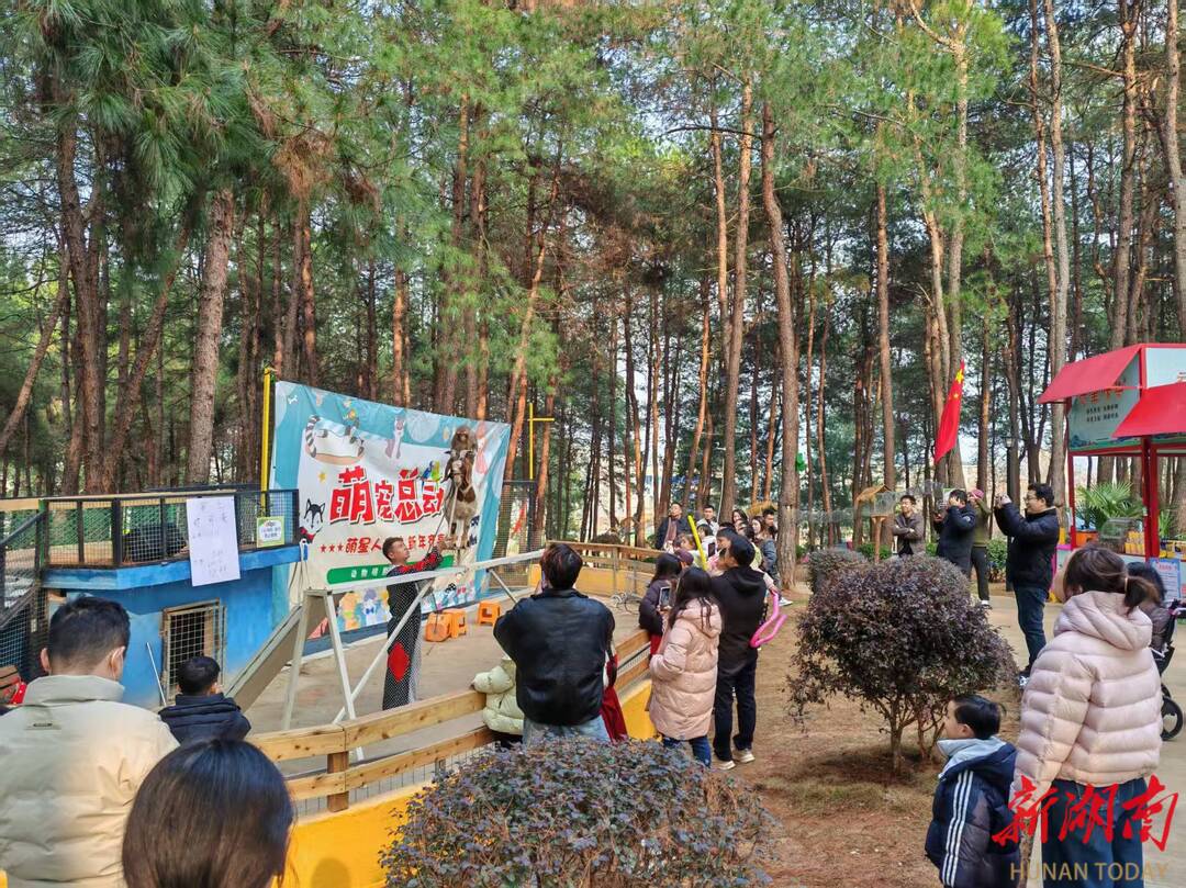 鹤城区新春文旅市场火爆 游客量与收入创历史新高