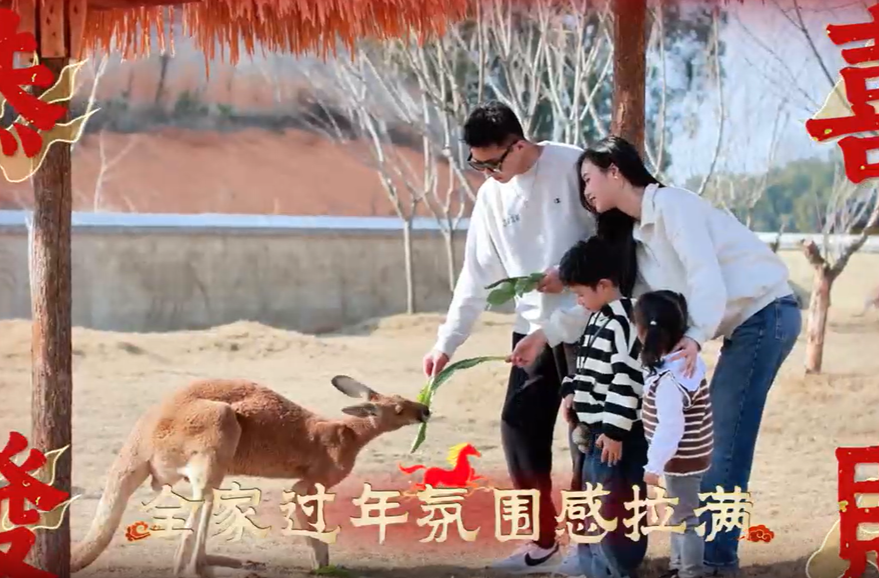 动物园里过大年，氛围感拉满