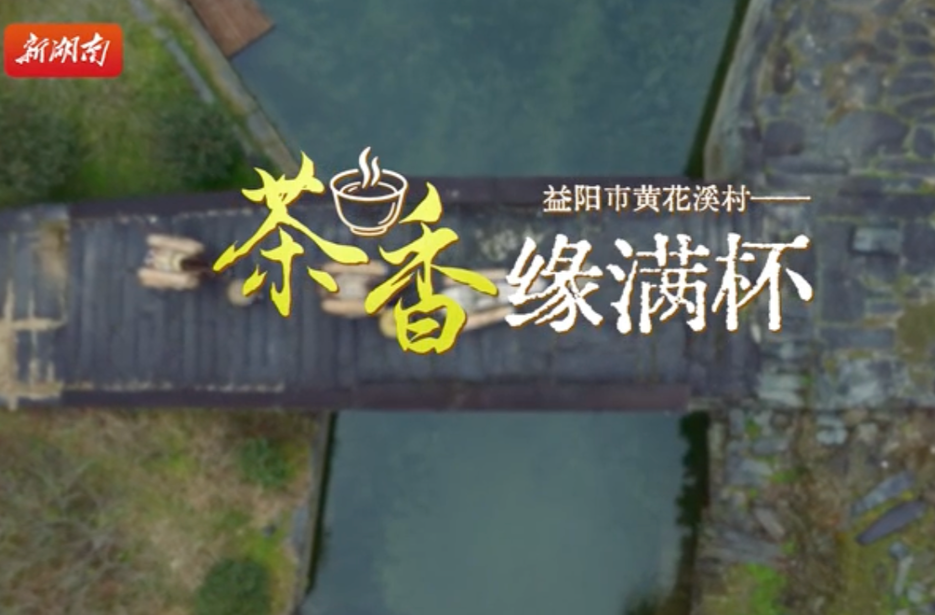 新春走基层：益阳市黄花溪村——茶香缘满杯｜古村年味⑪