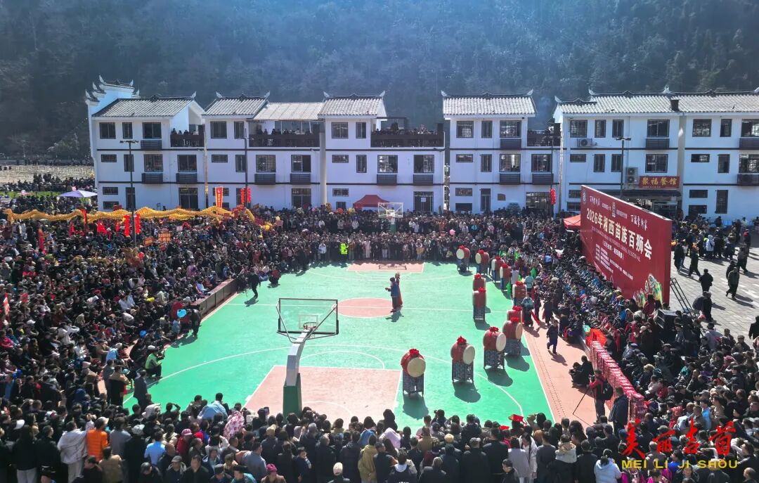 群狮争霸“闹”新春